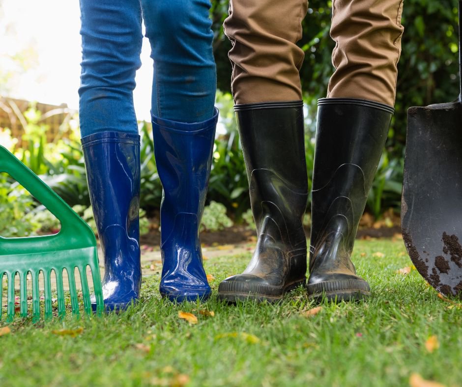7 Winter jobs to do in your garden