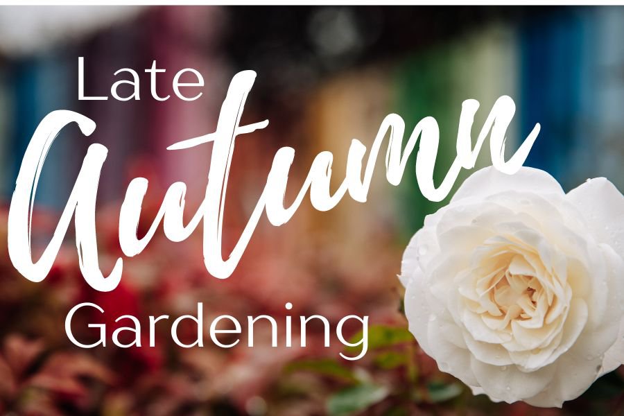 Late Autumn Gardening 101